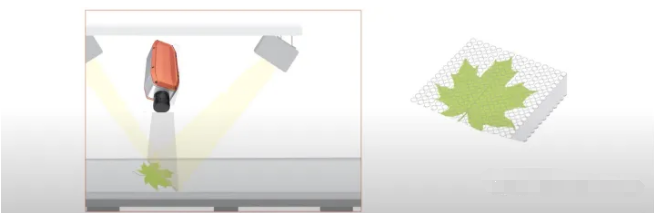 1702431288881429.png image.png