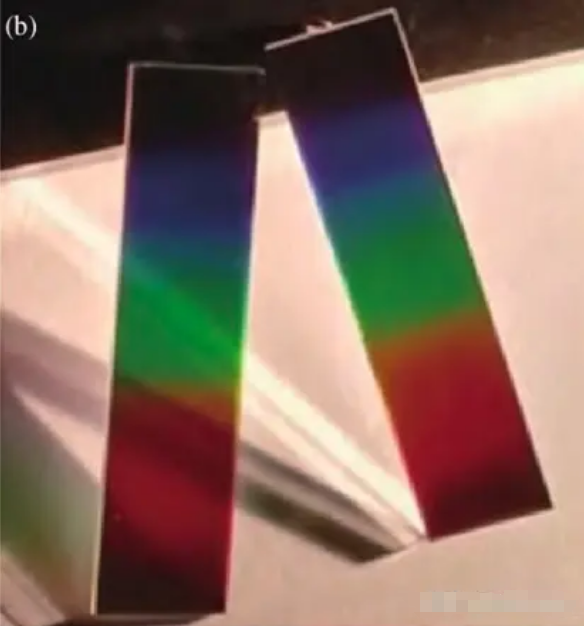 1702431831565855.png image.png
